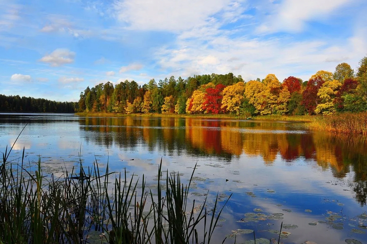 Жительница Тверской области сделала самое красивое фото озера в России