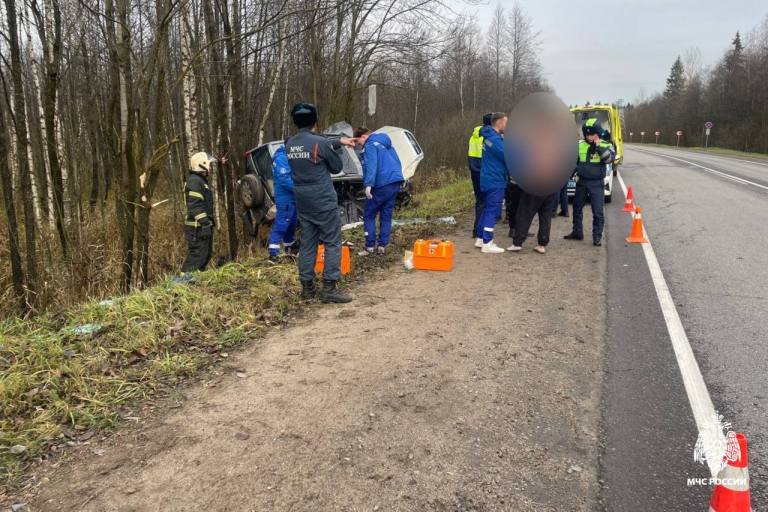 В Тверской области автомобиль вылетел в кювет и перевернулся