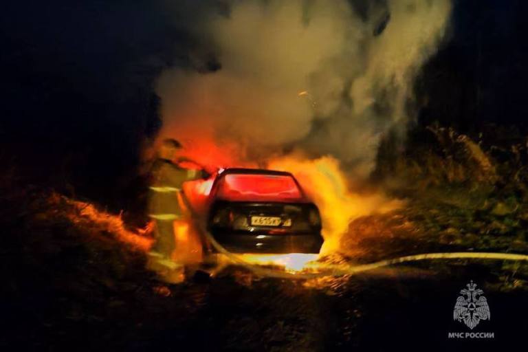 В Тверской области сгорел дотла автомобиль