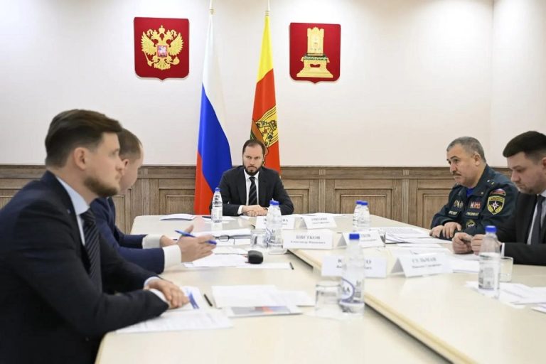 Врио губернатора Тверской области поручил постоянно контролировать электросети в непростых погодных условиях
