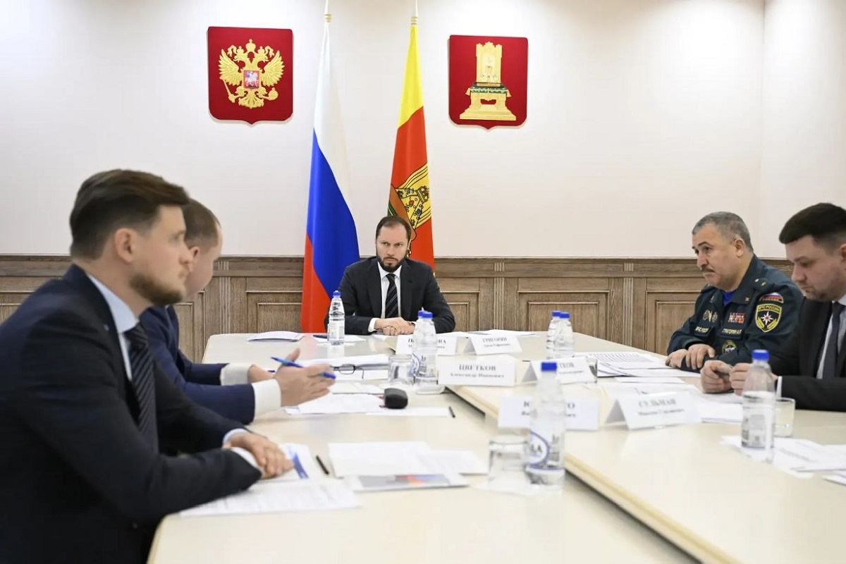 Врио губернатора Тверской области поручил постоянно контролировать электросети в непростых погодных условиях