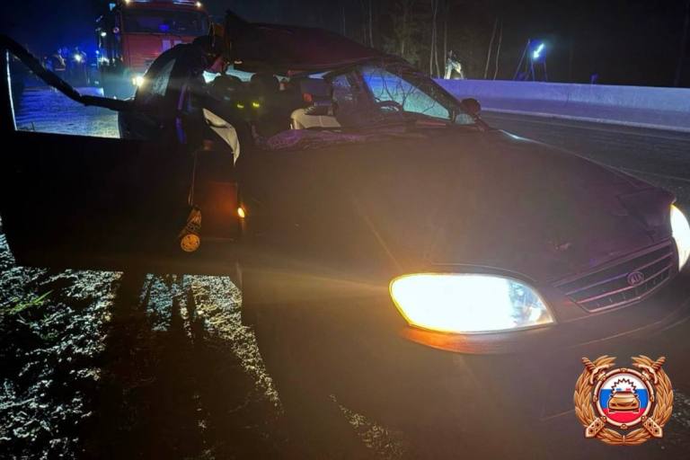 Пассажир легковушки пострадал в ДТП с лосем на М-9 в Тверской области