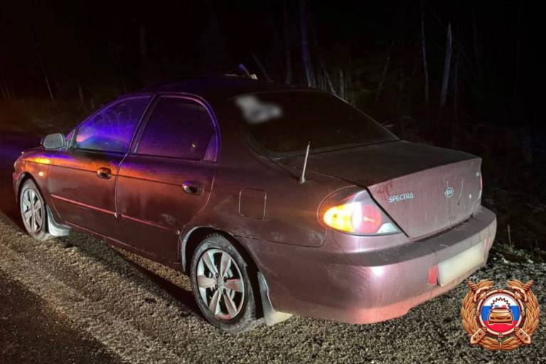 Пассажир легковушки пострадал в ДТП с лосем на М-9 в Тверской области