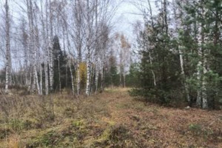 Около 140 гектаров заросших сельхозугодий выявлено в Тверской области