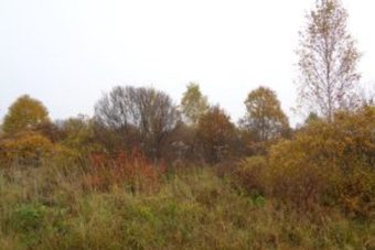 Свыше 8 гектаров неиспользуемой пашни изъято у собственника под Тверью Свыше 8 гектаров неиспользуемой пашни изъято у собственника под Тверью