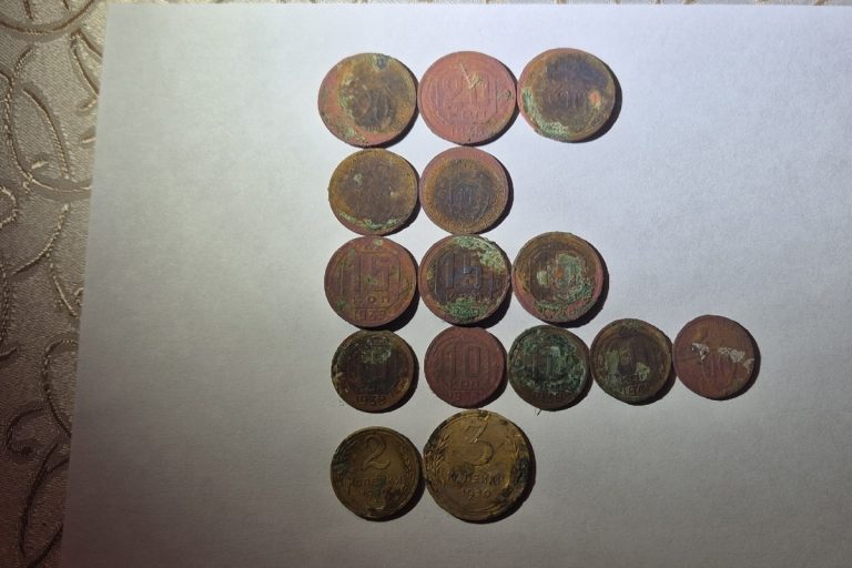 В Тверской области среди останков бойца Красной армии найден медальон