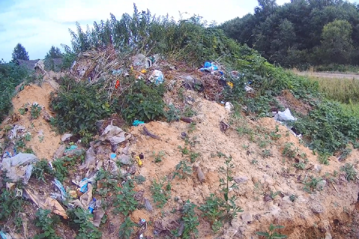 Несанкционированную свалку организовали у дороги в Тверской области