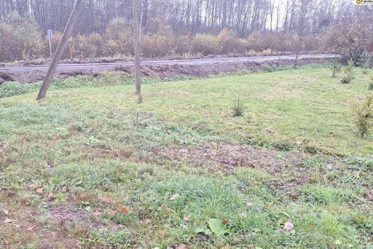 Несанкционированную свалку организовали у дороги в Тверской области