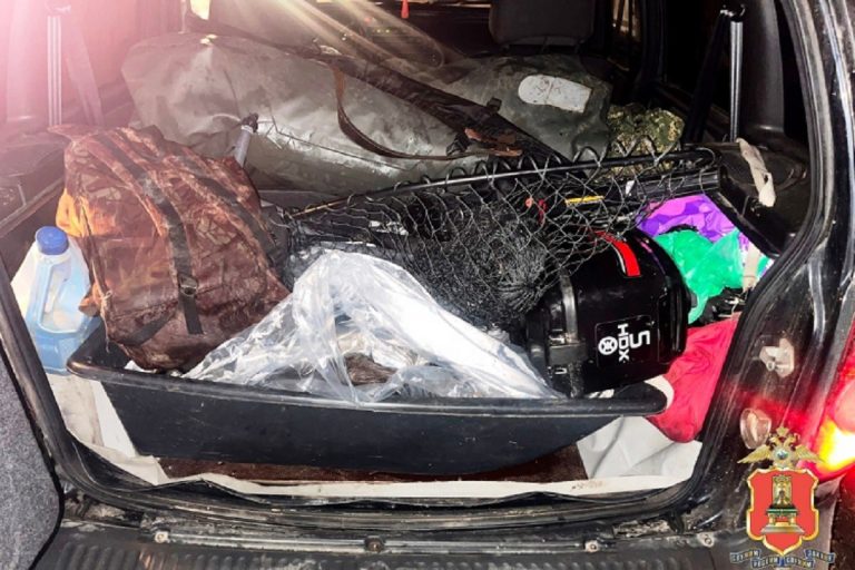 В Тверской области задержали браконьера, охотившегося на бобров