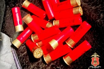 В Тверской области задержали браконьера, охотившегося на бобров