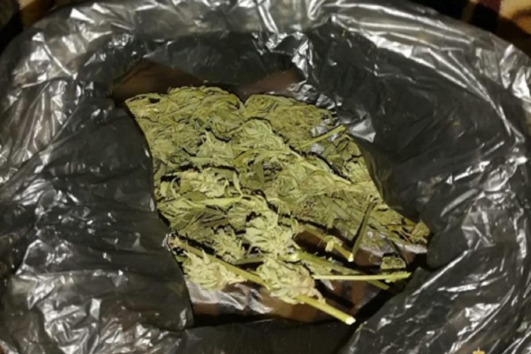 Сельский житель торговал марихуаной в Тверской области