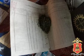 Житель деревни в Тверской области хранил дома коноплю