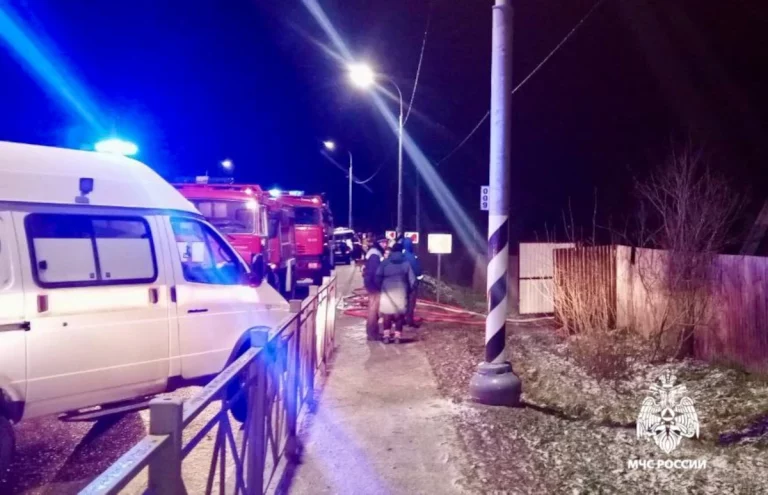 В Тверской области на ночном пожаре погибли два мальчика