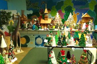 Юных жителей Тверской области приглашают к участию в экологической акции «Ёлочка-2025» Юных жителей Тверской области приглашают к участию в экологической акции «Ёлочка-2025»