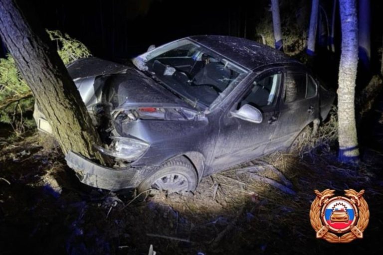 Легковушка врезалась в дерево под Тверью