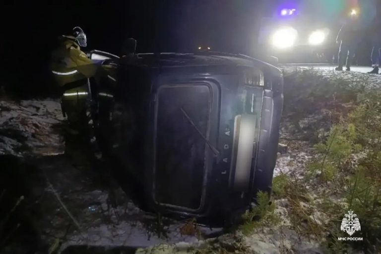 Легковушка вылетела в кювет в Тверской области