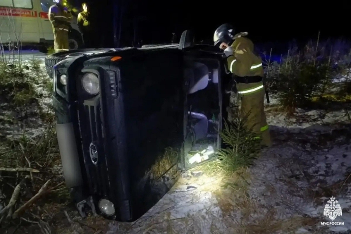 Легковушка вылетела в кювет в Тверской области
