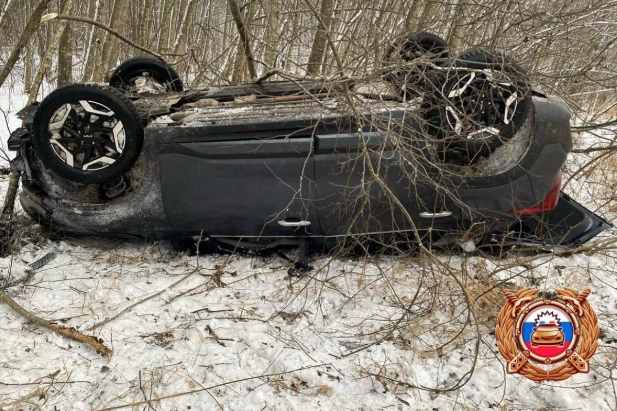 Женщина и ребенок пострадали в ДТП в Тверской области