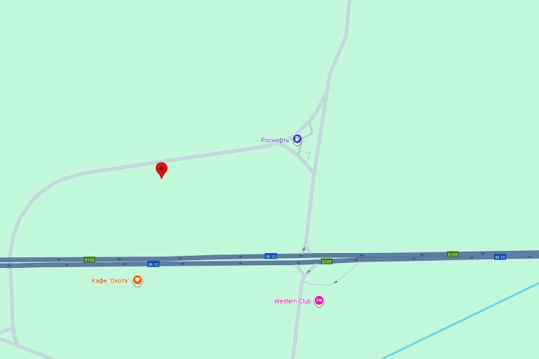 Рухнувшее на дорогу дерево чуть не убило водителя и пассажирку автомобиля в Тверской области