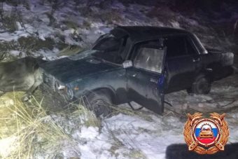 Два человека пострадали в ДТП с лосем в Тверской области
