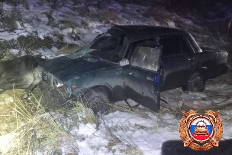 Два человека пострадали в ДТП с лосем в Тверской области