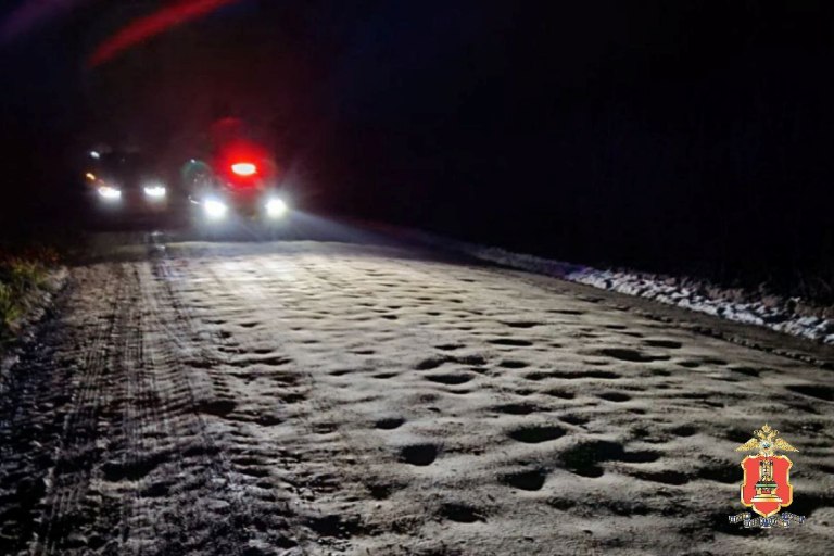 В Тверской области задержали скрывшегося с места смертельного ДТП водителя