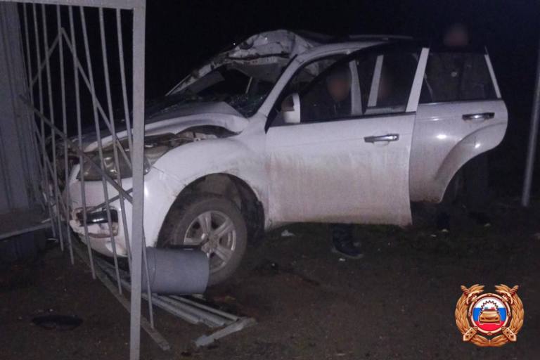 В Тверской области кроссовер сбил лося и протаранил остановку