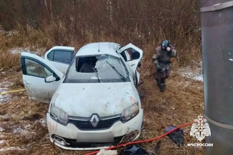 В Тверской области Renault протаранил столб, пострадали трое