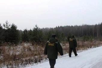 В Тверской области усилили охрану хвойных деревьев от незаконных рубок В Тверской области усилили охрану хвойных деревьев от незаконных рубок
