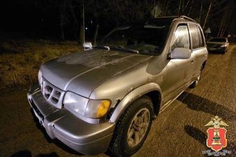 Жителей Тверской области задержали на трассе с оружием и 40 кг мяса