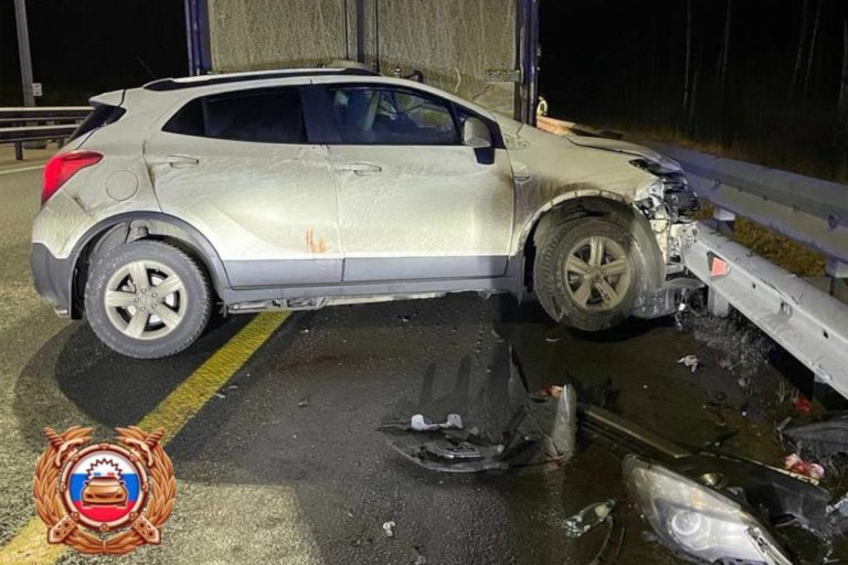 В Тверской области на трассе М-11 машина въехала в грузовик из-за неудачного манёвра