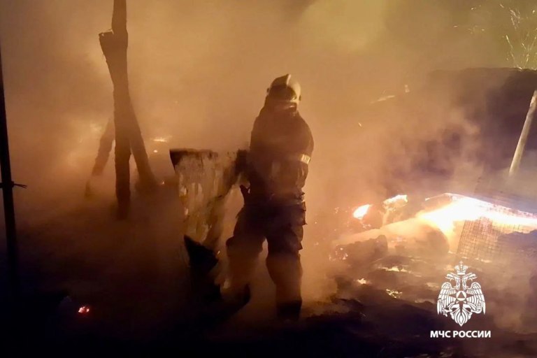 При пожаре в Тверской области погибли десятки животных