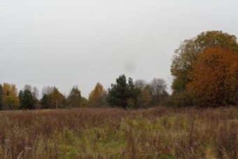 Около 140 гектаров заросших сельхозугодий выявлено в Тверской области