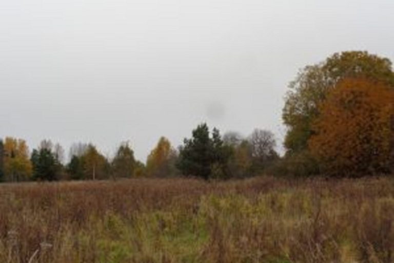 Около 140 гектаров заросших сельхозугодий выявлено в Тверской области