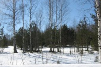 Оштрафован владелец заросших сельхозугодий в Тверской области Оштрафован владелец заросших сельхозугодий в Тверской области