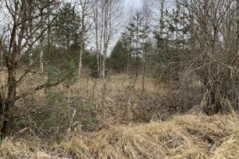 Оштрафован владелец заросших сельхозугодий в Тверской области