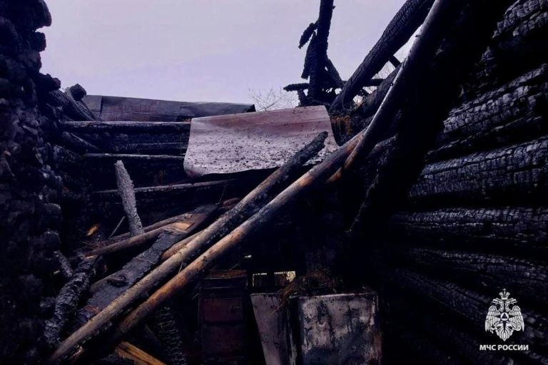 Названа причина пожара с двумя погибшими в Тверской области