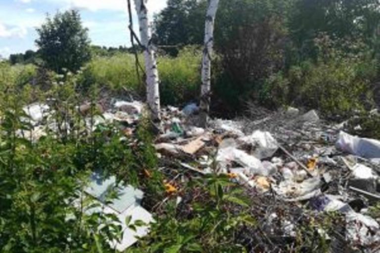 Свалку организовали на сельхозугодьях в Тверской области