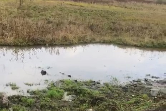 Частник вывел трубу для слива канализации к реке под Тверью