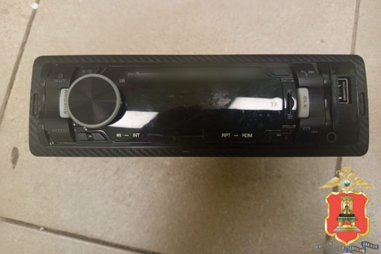 Двое юношей обокрали автомобиль в Тверской области