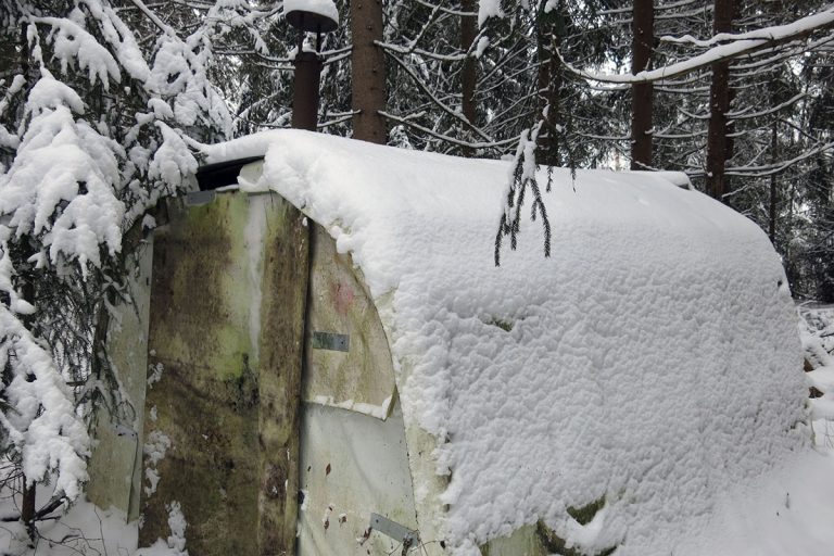 Путник наткнулся на загадочный домик в лесу в Тверской области