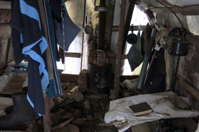 Путник наткнулся на загадочный домик в лесу в Тверской области