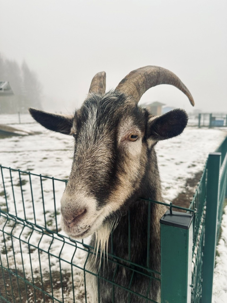 Аналитики МТС назвали самые популярные направления Тверской области у туристов на новогодних каникулах