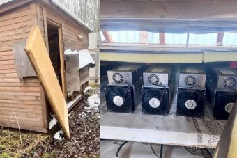 В Тверской области ликвидирована майнинговая ферма по добыче криптовалюты