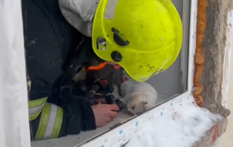 Тверские спасатели показали видео с реанимацией кота после пожара