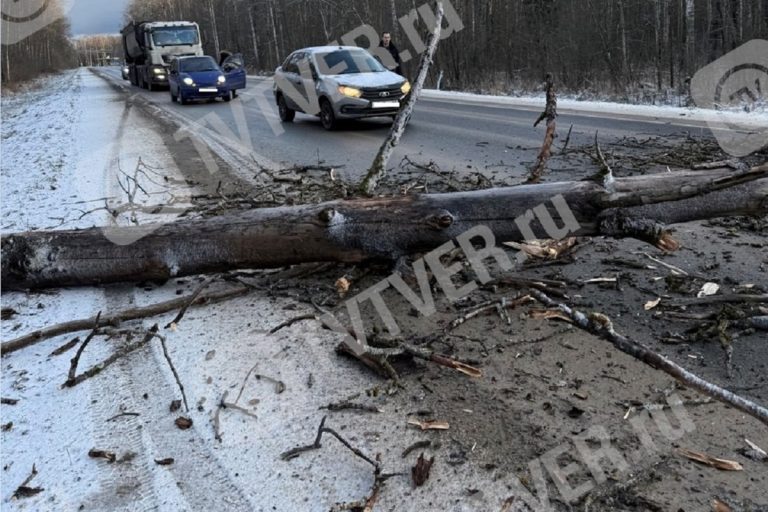 Центр управления кризисными ситуациями назвал ожидаемые из-за сильного снегопада ЧС в Тверской области