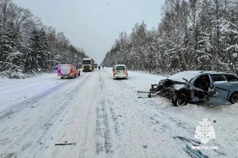 Два человека пострадали в массовом ДТП в Тверской области