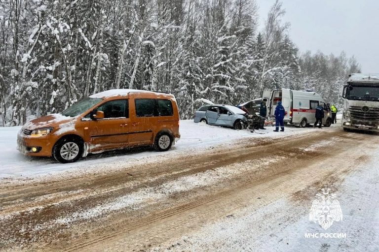 Два человека пострадали в массовом ДТП в Тверской области