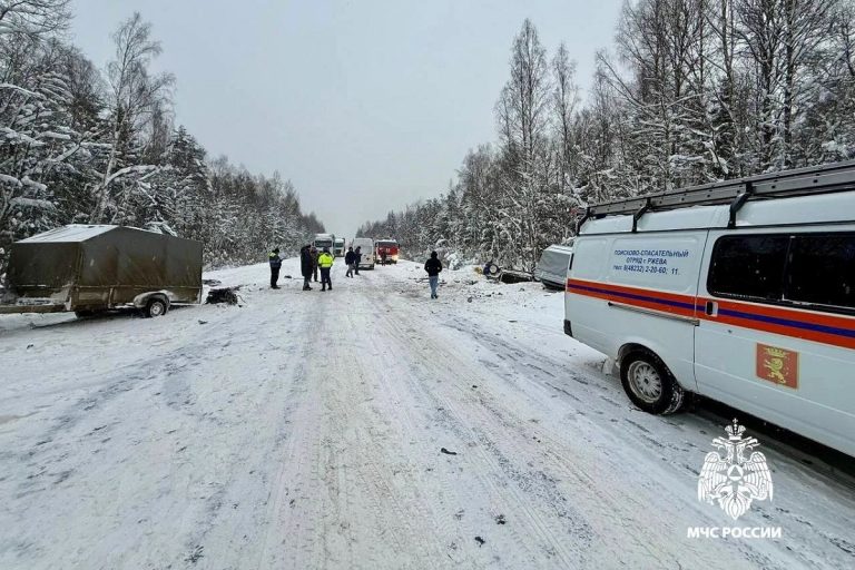 Два человека пострадали в массовом ДТП в Тверской области