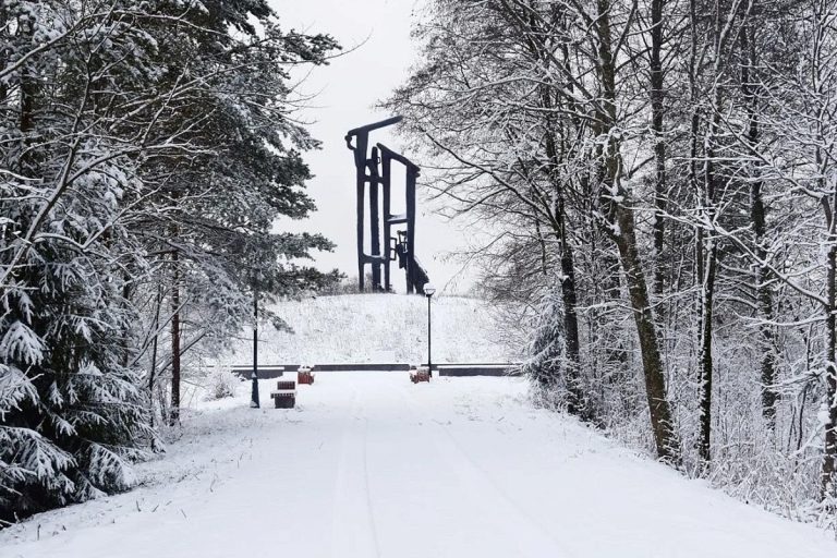 Виталий Королев поздравил жителей Пеновского округа с 84-й годовщиной освобождения территории от немецко-фашистских захватчиков